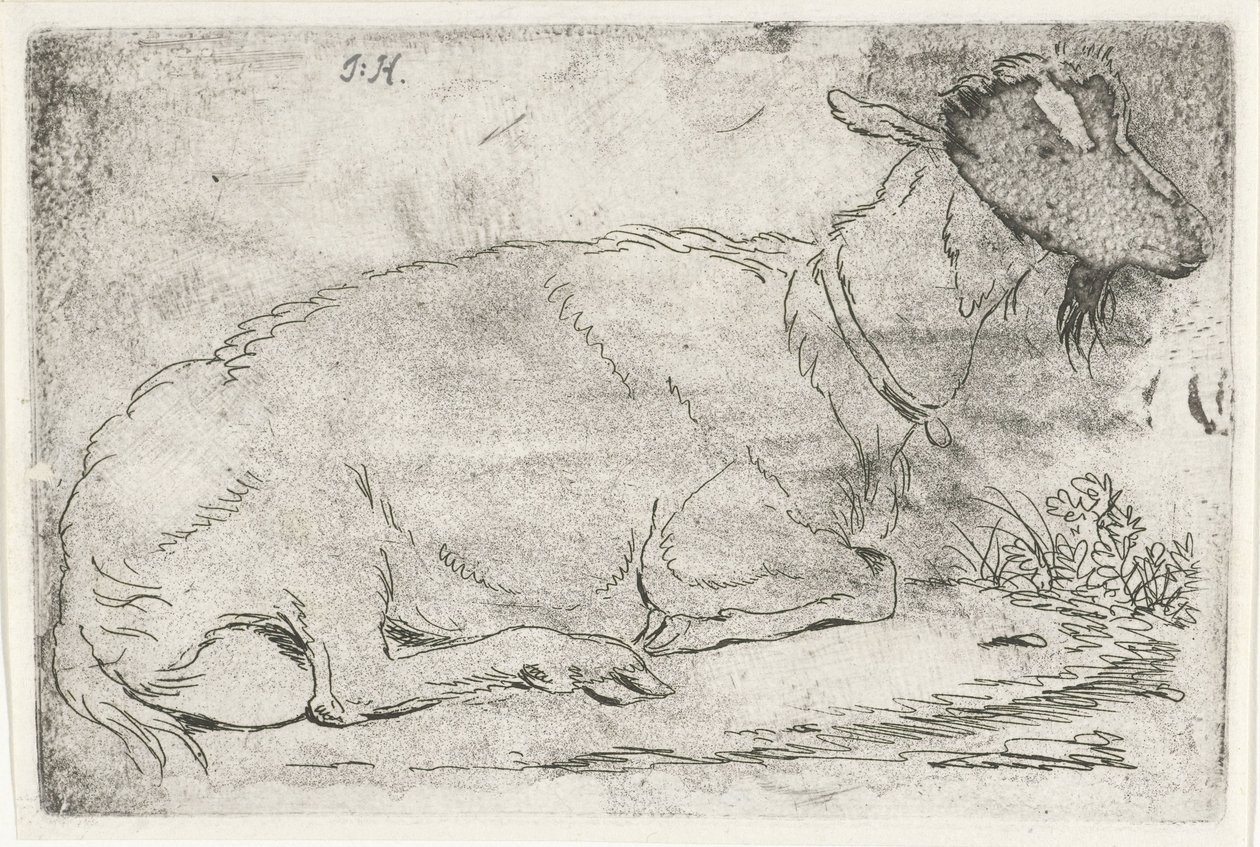 Cabra recortada de Jabes Heenck (signed by artist)