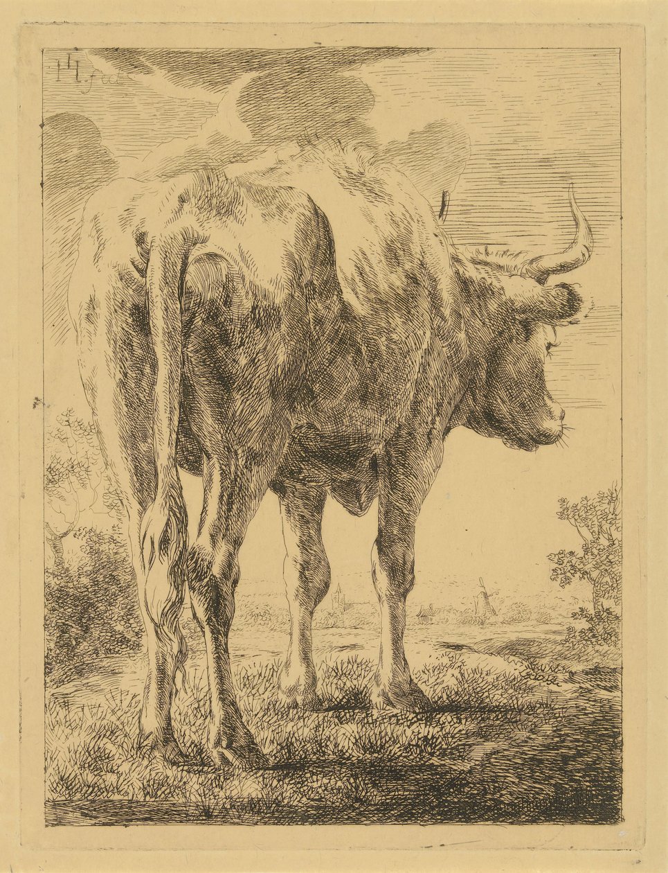 Vaca numa paisagem de Jabes Heenck