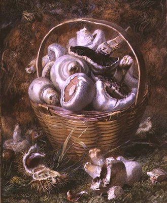 Cogumelos (aguarela e guache) de Jabez Bligh