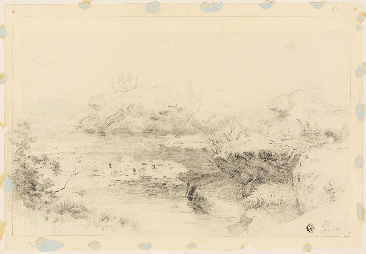 Lagoa com Nenúfares de Jabez Bligh