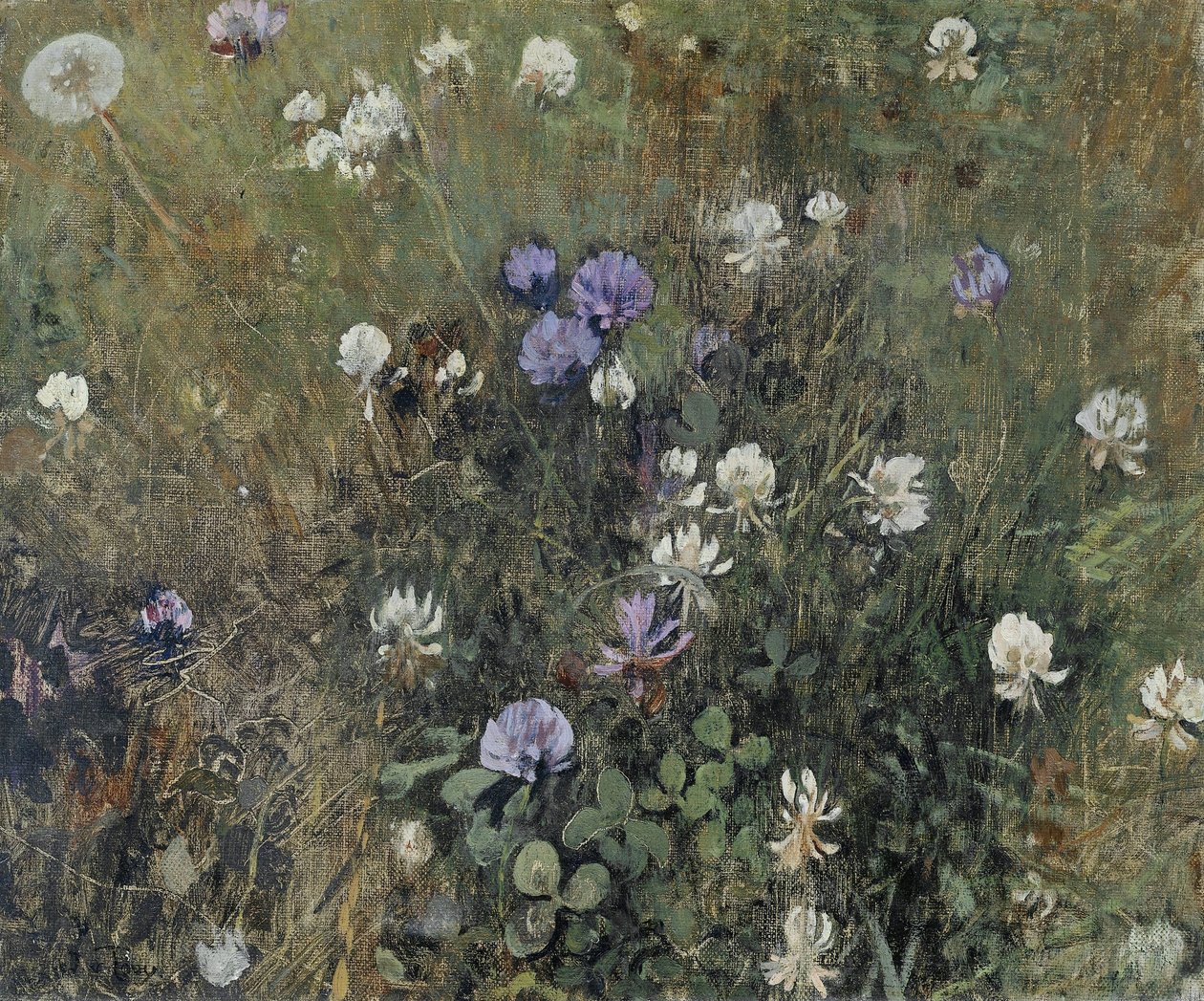 Trevo em flor de Jac van Looij