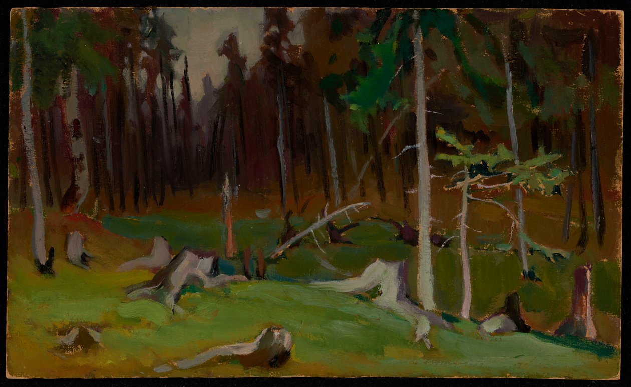 Clareira na floresta de Jacek Malczewski