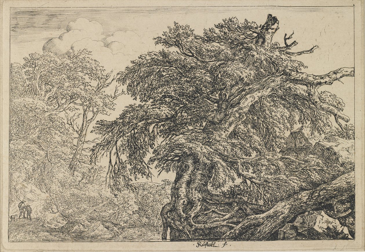 A Grande Faia com Dois Homens e um Cão, c. 1650-1655 de Jacob van Ruisdael