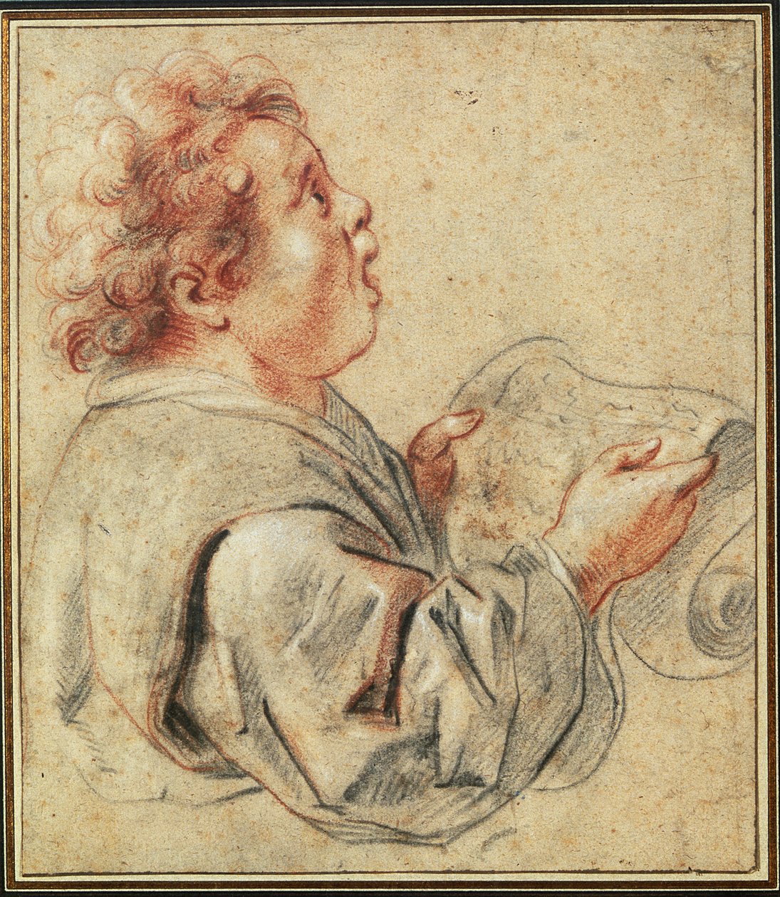 Chorister (giz no papel) de Jacob Jordaens