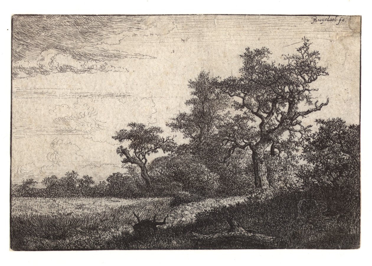 Gravura de árvores e grãos de Jacob van Ruisdael