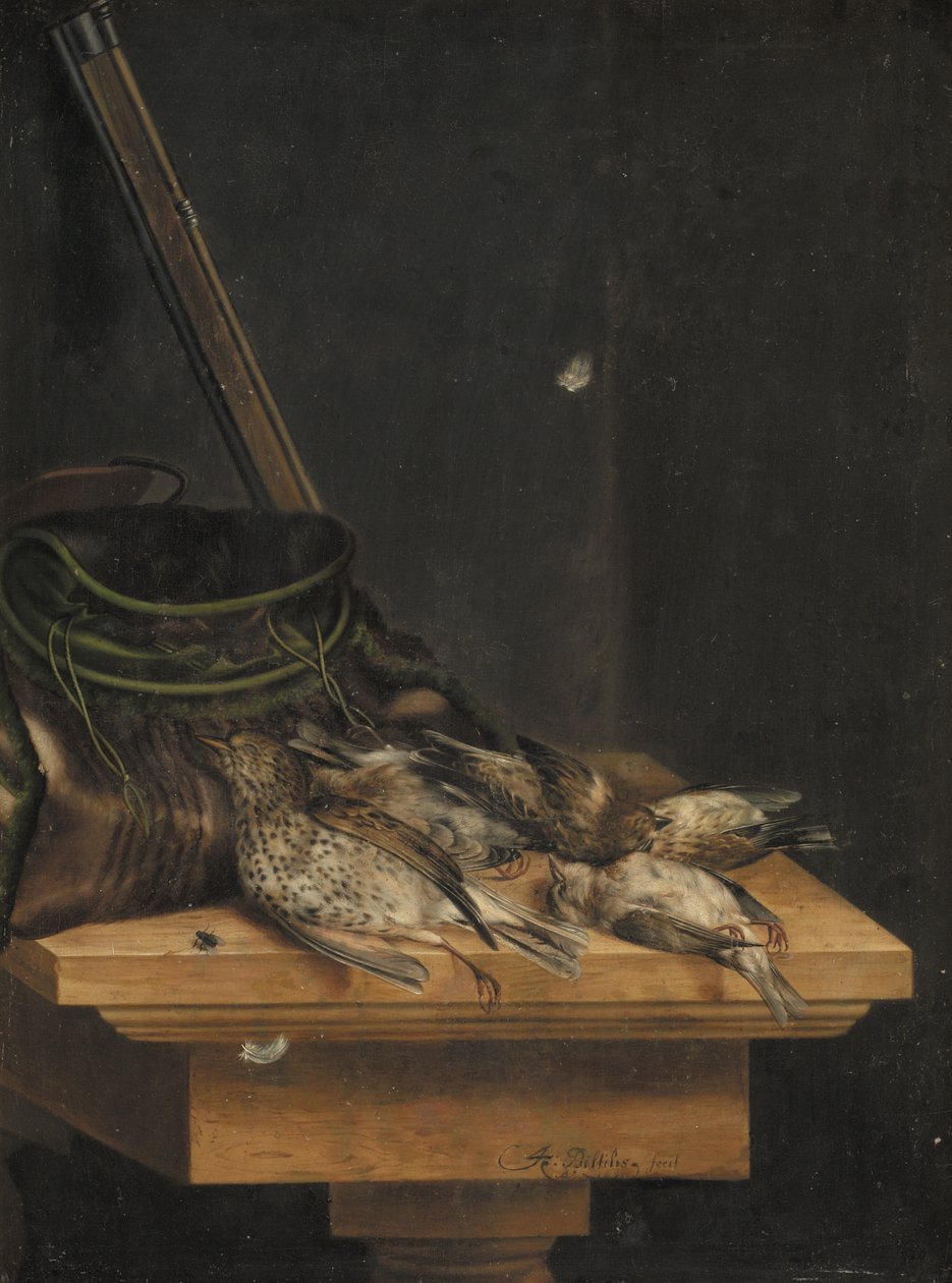 Pássaros Mortos de Jacob Biltius