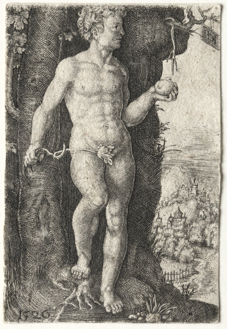 Adam, 1526. de Jacob Binck