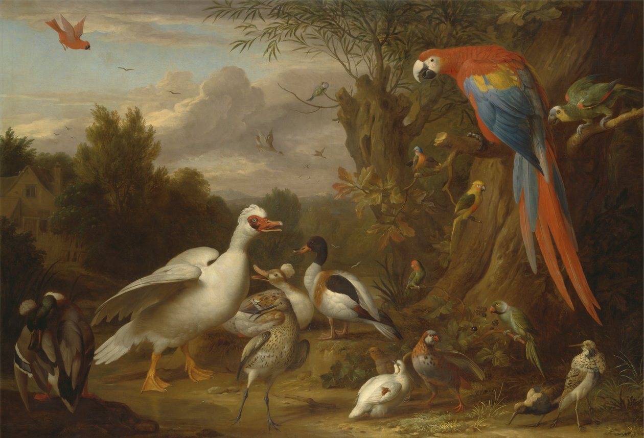 Uma Arara, Patos, Papagaios e Outras Aves numa Paisagem de Jacob Bogdani