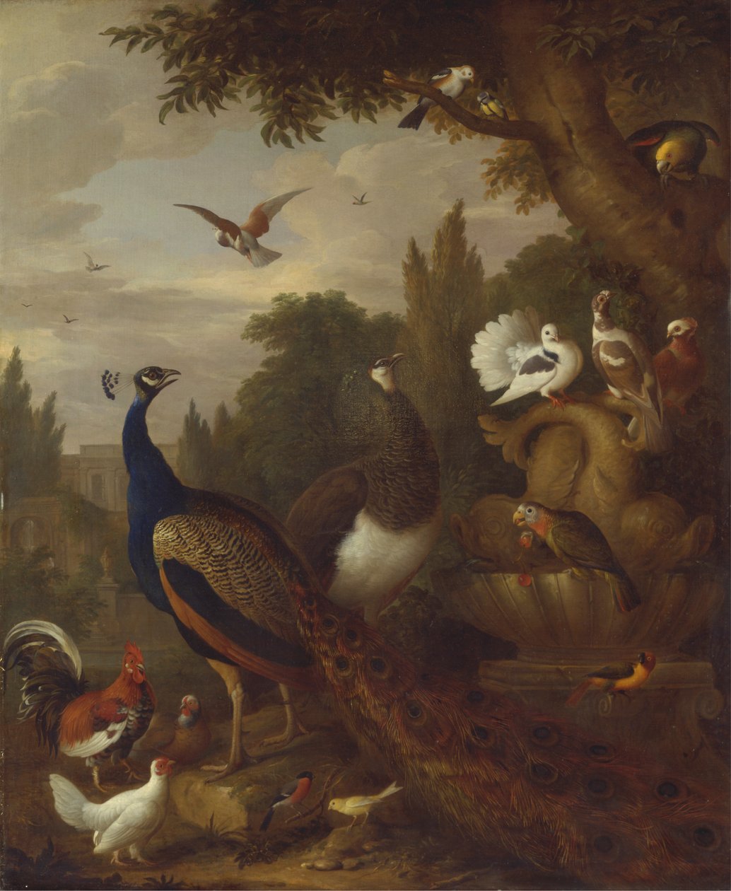 Pavão, peahen, papagaios, canários e outras aves num parque de Jacob Bogdani