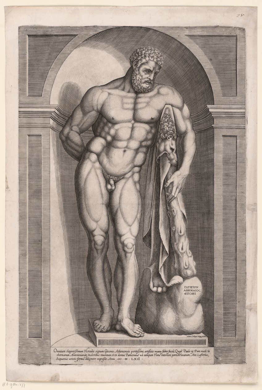 Hercules Farnese de Jacob Bos
