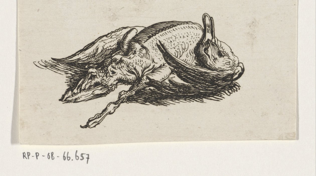 pato morto de Jacob Elias van Varelen