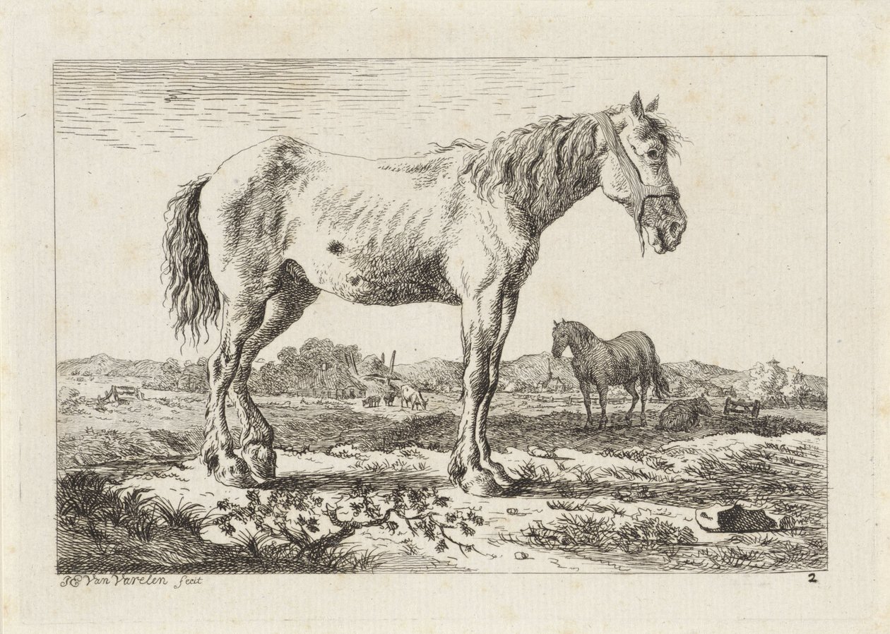 Cavalo em pé em uma paisagem Seis gravuras após desenhos de vários mestres (título da série) de Jacob Elias van Varelen