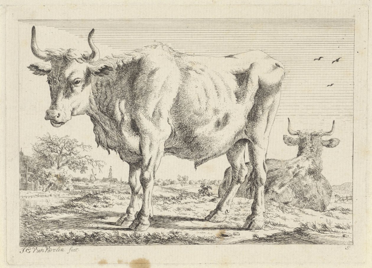 Boi em pé e deitado Seis gravuras após desenhos de vários mestres (título da série) de Jacob Elias van Varelen