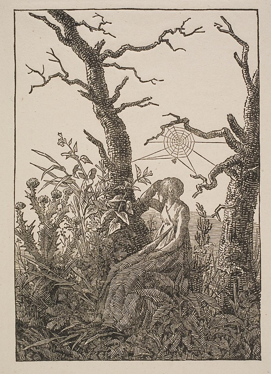 Melancólico. A Mulher da Teia de Aranha de Jacob Friedrich