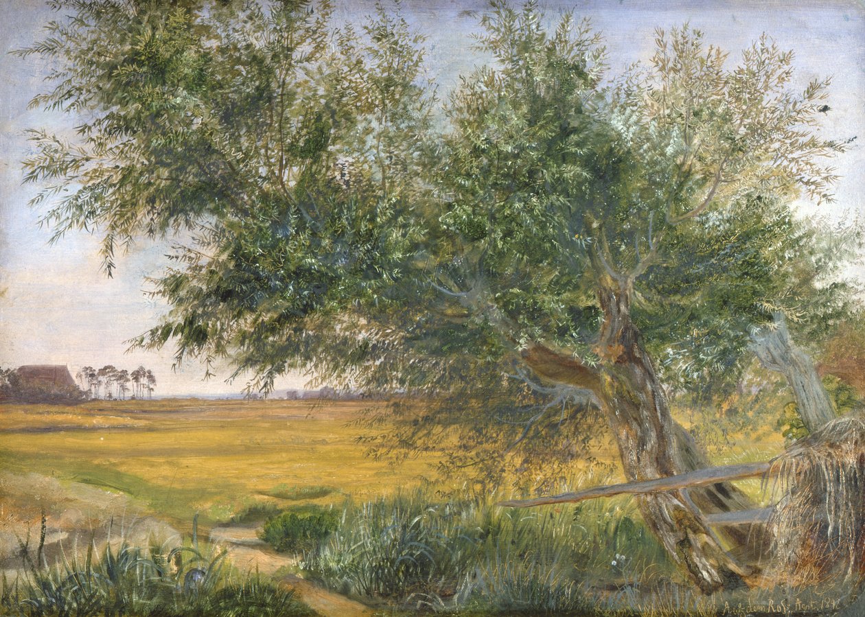 The Old Tree, 1842 (óleo sobre papel montado no cartão) de Jacob Gensler