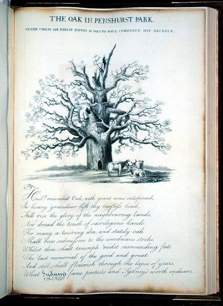 O Carvalho em Penshurst Park de Jacob George Strutt