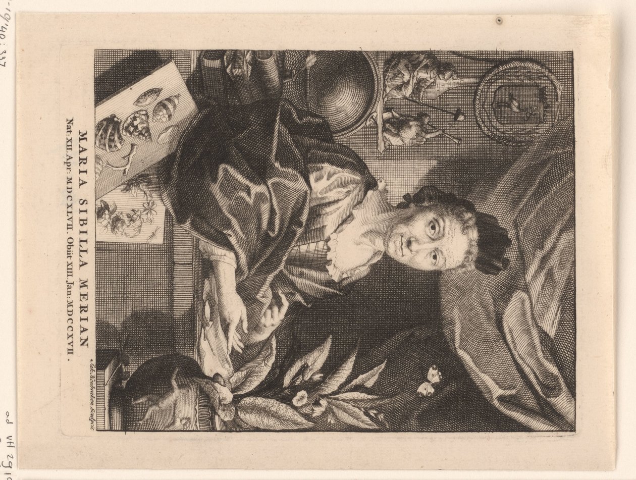 Retrato de Maria Sibylla Merian
Maria Sibilla Merian (título sobre o objecto) de Jacob Houbraken