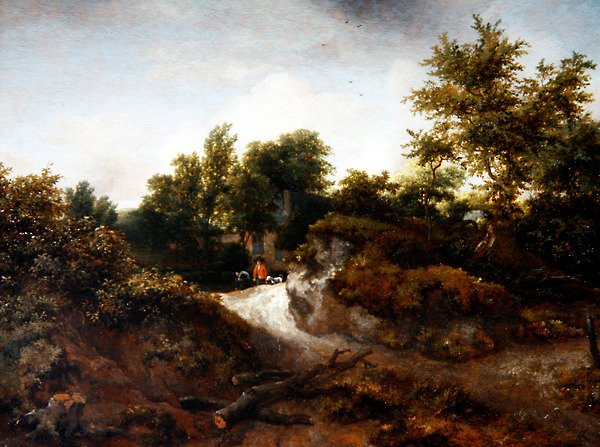 A Wooded Dune Landscape (óleo sobre painel) de Jacob van Ruisdael