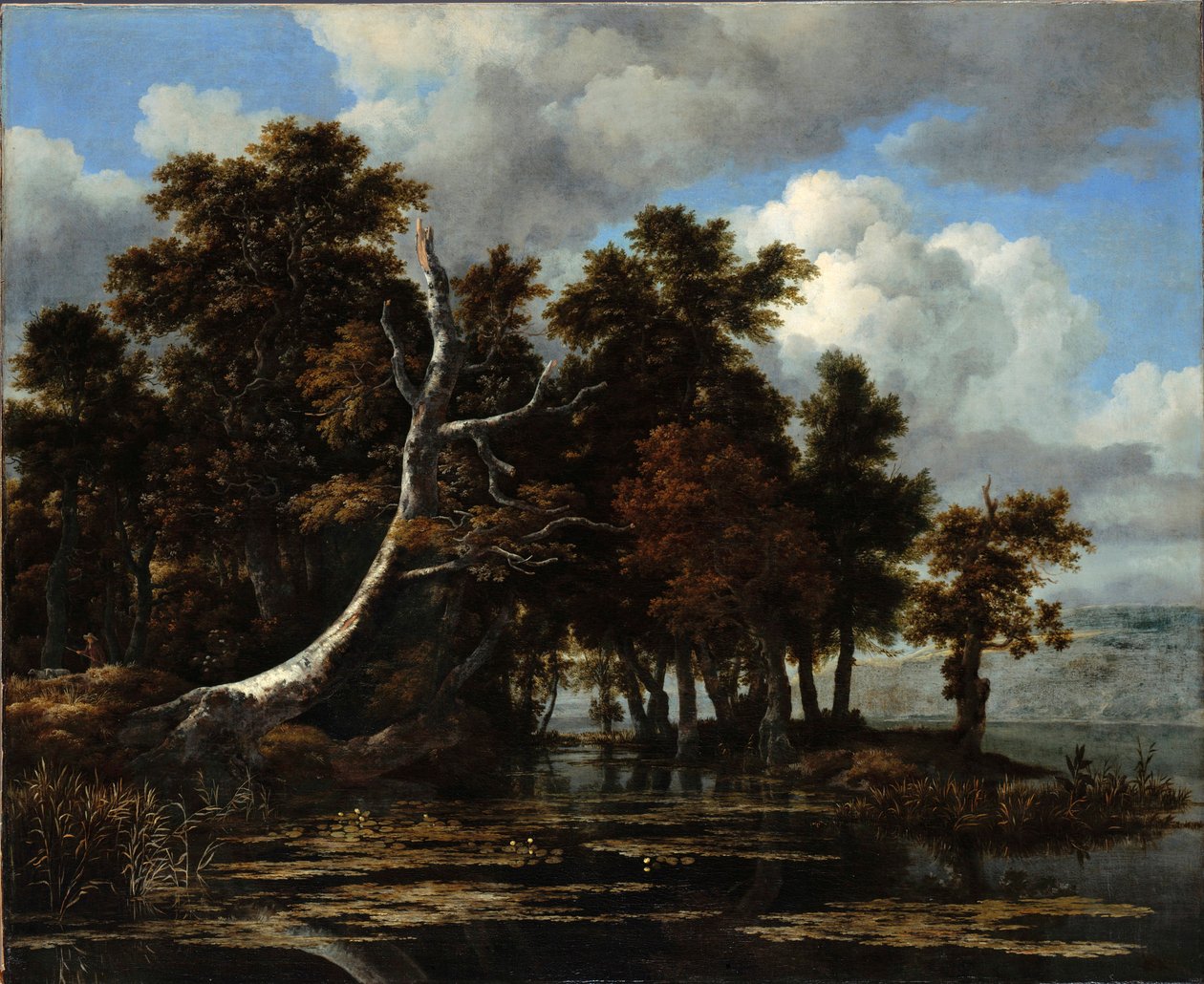 "Chenes sur les berges d