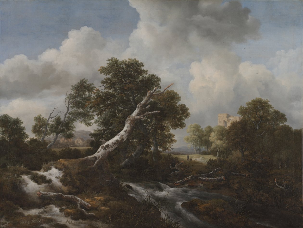 Cachoeira baixa em uma paisagem arborizada com uma faia morta, c. 1660-70 de Jacob van Ruisdael