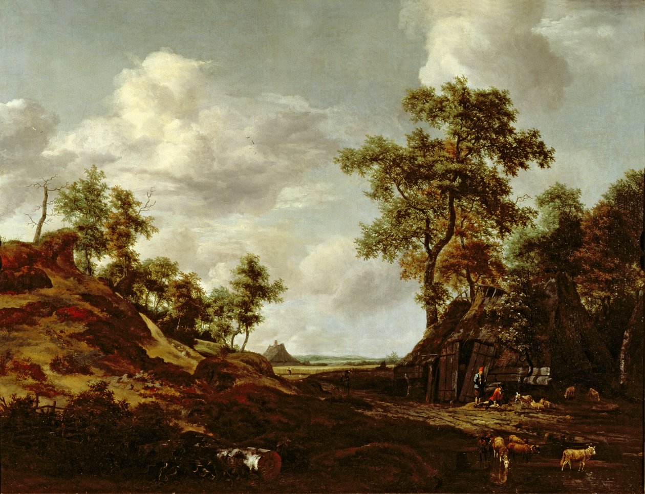 Imagem desconhecida de Jacob van Ruisdael