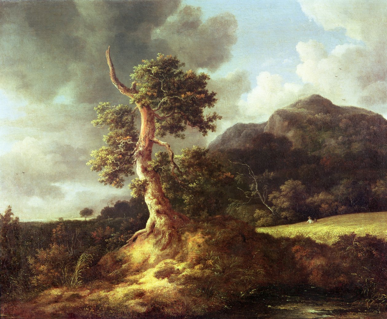 Imagem desconhecida de Jacob van Ruisdael