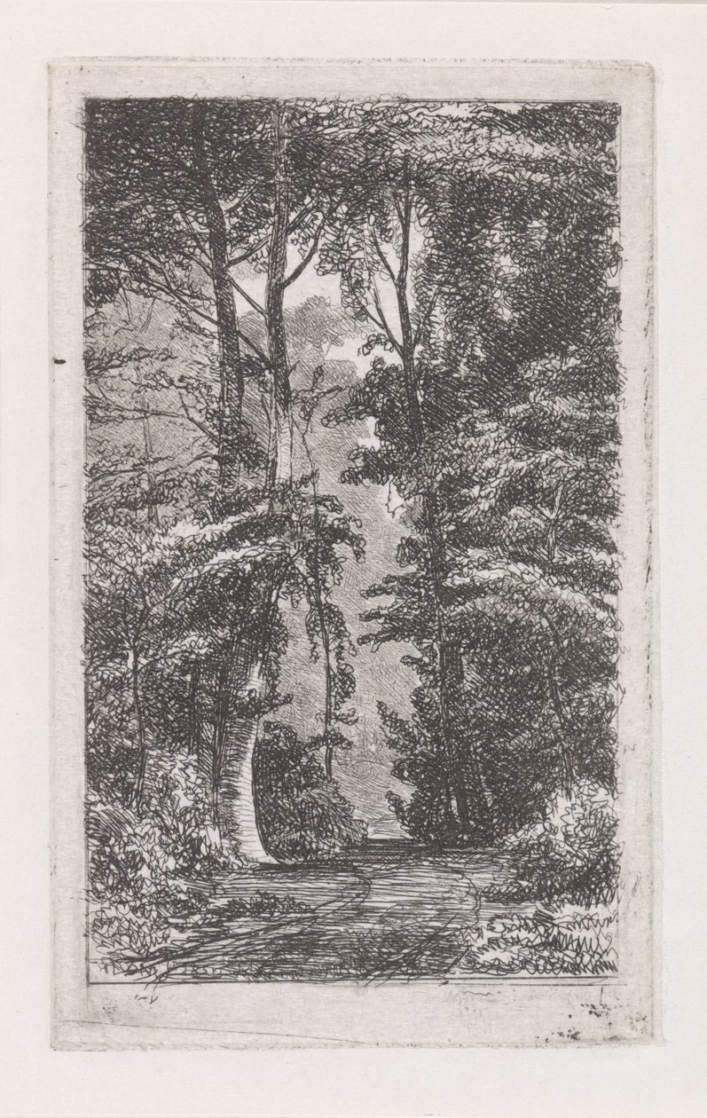 Avenida da Floresta de Jacob Jan van der Maaten
