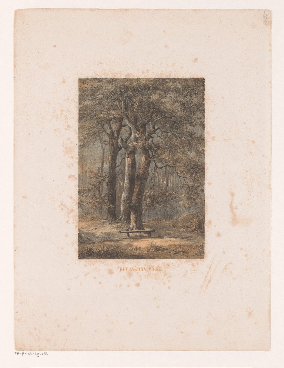Jacoba arbor
A árvore Jacoba (título sobre o objecto) de Jacob Jan van der Maaten