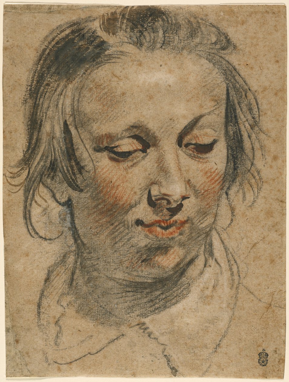 Cabeça de mulher de Jacob Jordaens