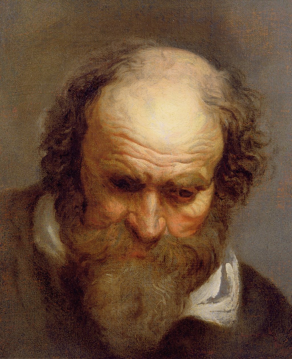 Cabeça de um homem velho de Jacob Jordaens