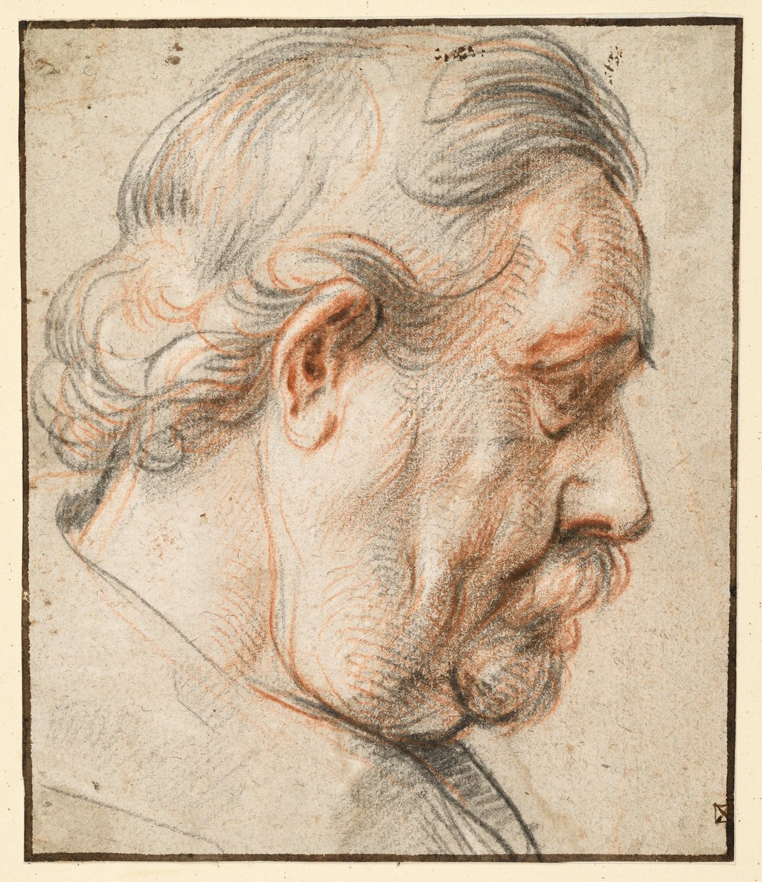 Cabeça de homem de perfil voltada para a direita de Jacob Jordaens