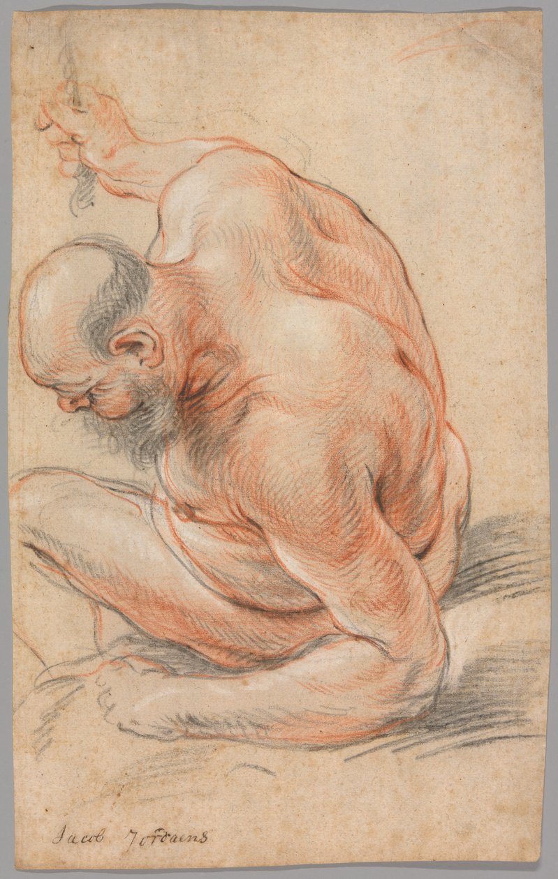 Velho nu sentado, apoiado no antebraço, virado para a esquerda de Jacob Jordaens