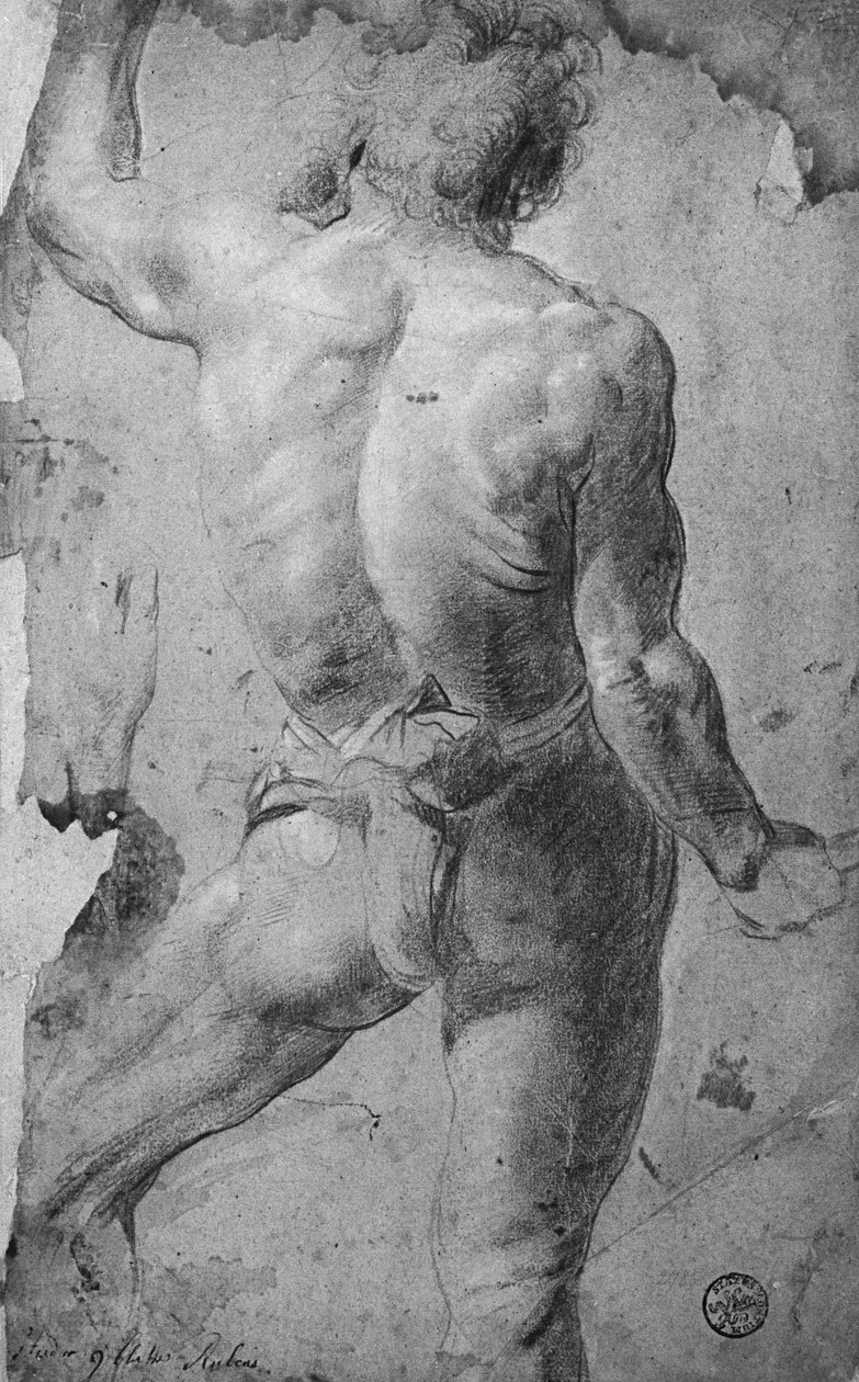 Nu masculino em pé (giz preto e otimista no papel) de Jacob Jordaens