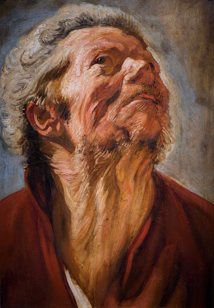 Cabeça de estudo de Jacob Jordaens