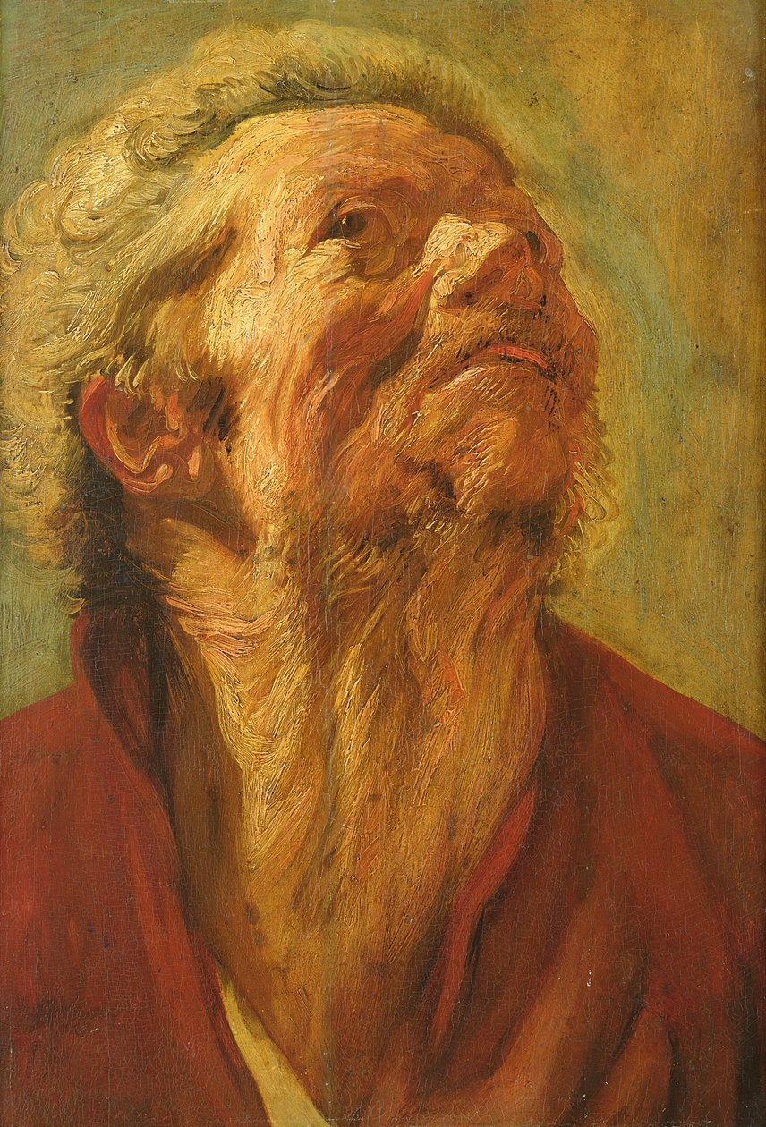 Estudo de uma cabeça ou cabeça de um apóstolo, c.1620 de Jacob Jordaens