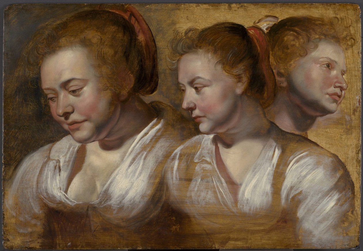 Três estudos de uma jovem mulher de Jacob Jordaens