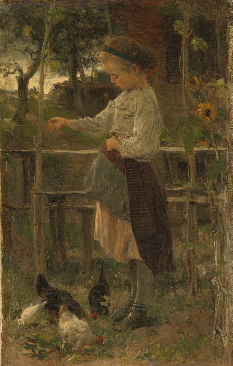 Alimentação de frangos de Jacob Maris