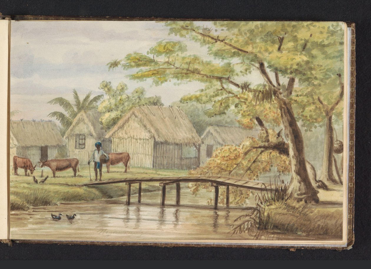 Casas de escravos na plantação de café SorgvlietCasa de escravos (título sobre o objecto)Vista das casas negras em pl(antage) Sorgvliet (título sobre o objecto)Álbum de desenhos do Suriname, p.5 (50) (título da série) de Jacob Marius Adriaan Martini van Geffen