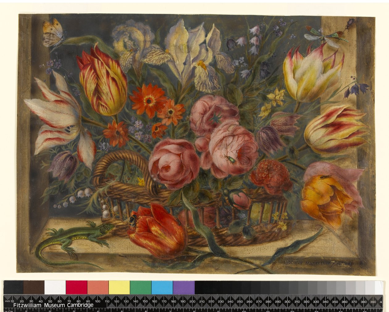 Estudo de flores: flores sortidas em uma cesta, com insetos e um lagarto em um cenário de janela, 1634 de Jacob Marrel