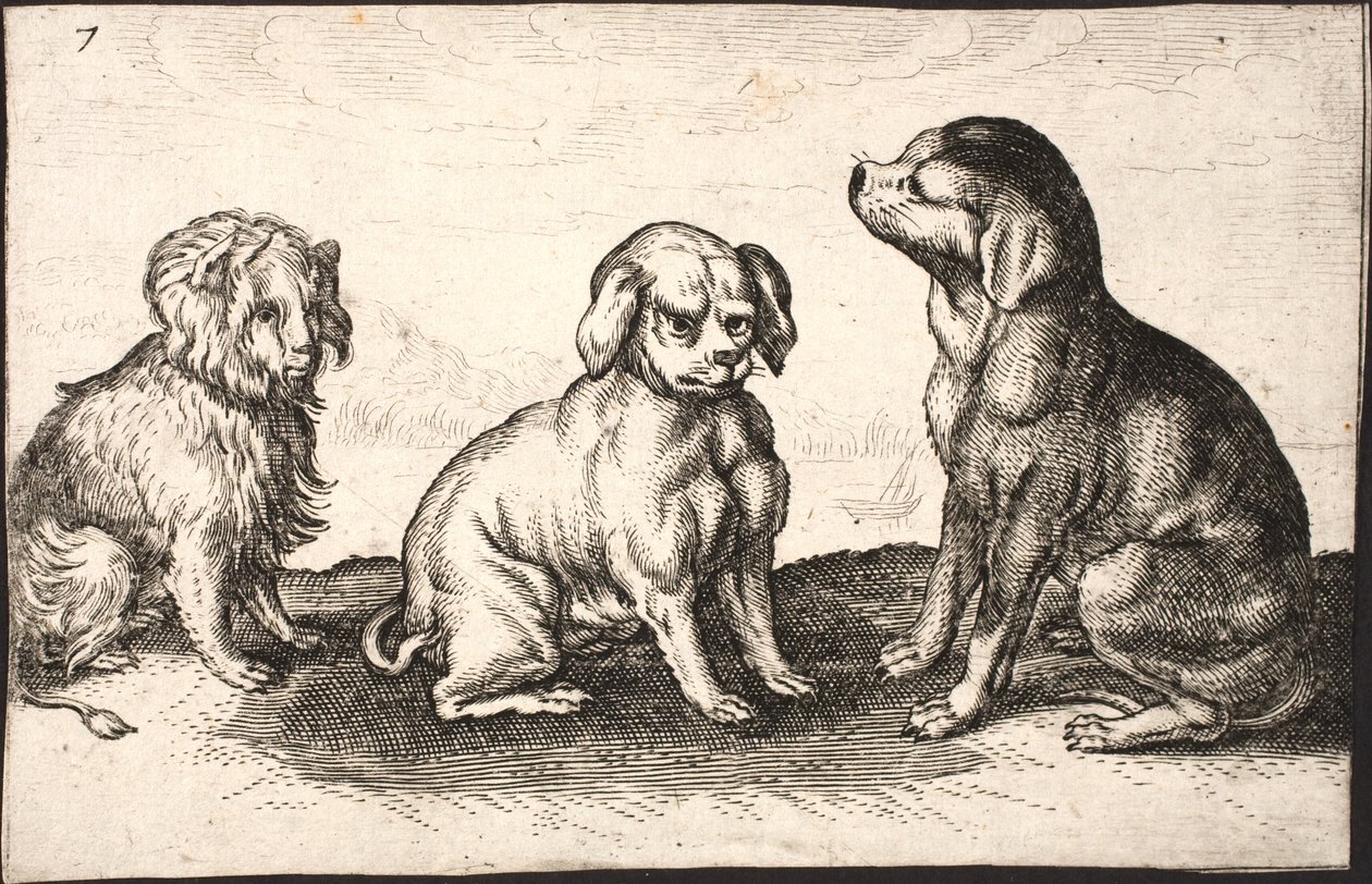Três cães pequenos de Jacob Matham