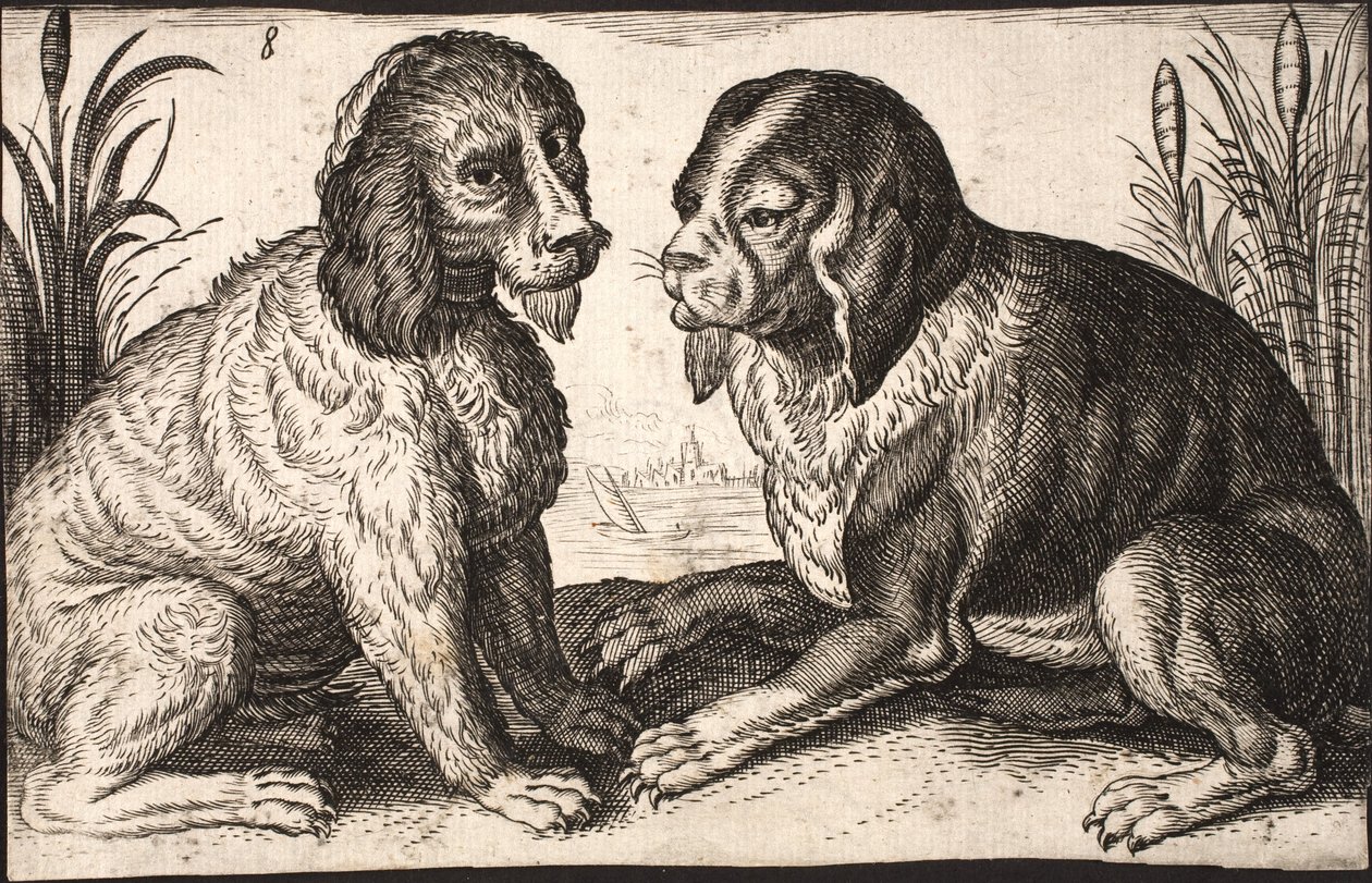 Dois cães à beira do lago de Jacob Matham