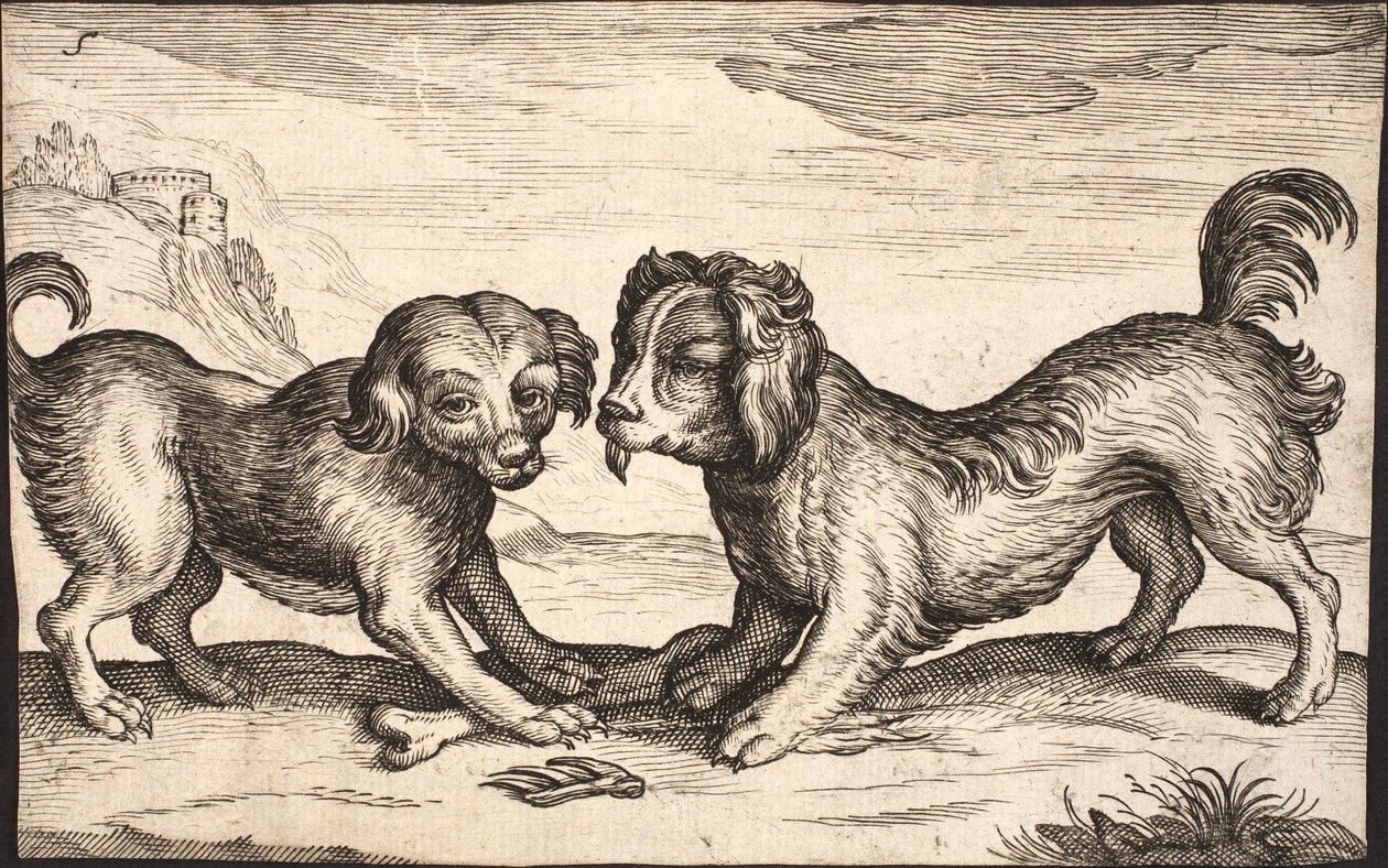 Dois cães pequenos de Jacob Matham