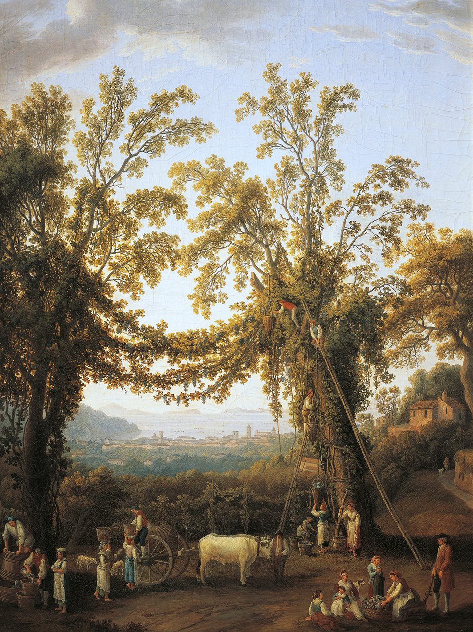 Outono, colheita perto de Sorrento (óleo sobre tela) de Jacob Philippe Hackert