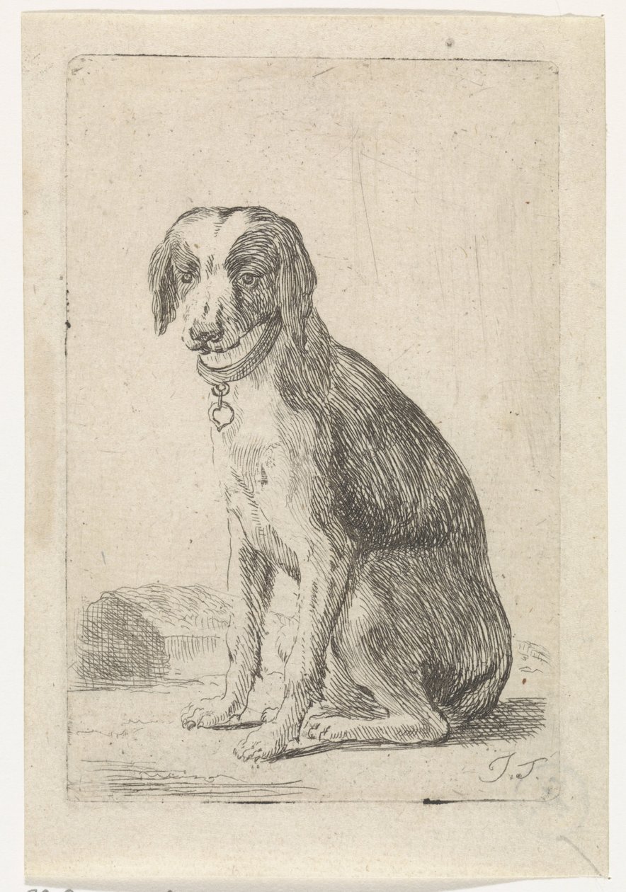 Cão sentado com coleira Cães (título da série) de Jacob Toorenvliet