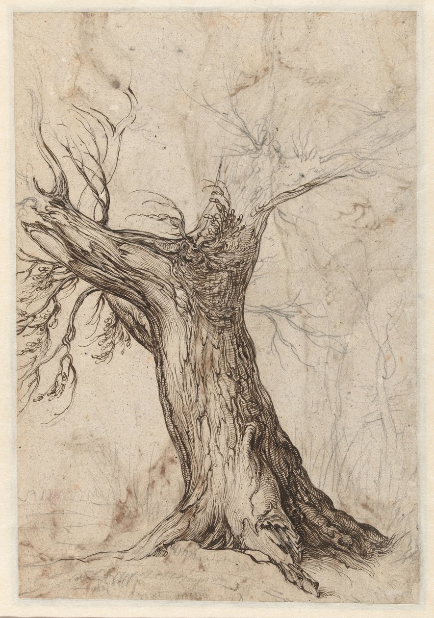 Castanheiro com algumas árvores à sua volta de Jacob de Gheyn (II)