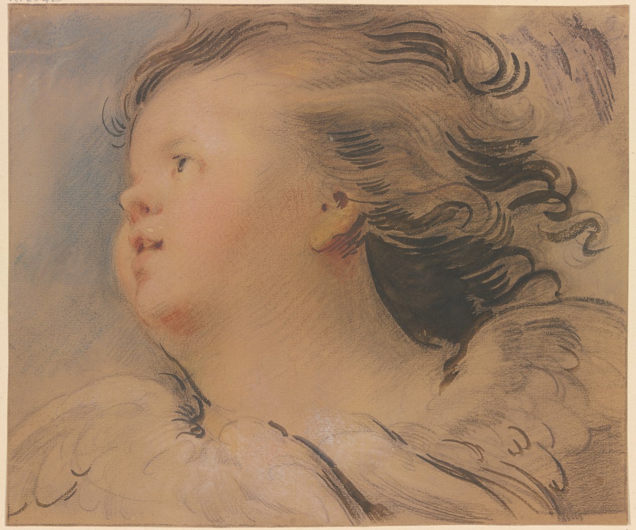Cabeça de anjo voltada para a esquerda de Jacob de Wit