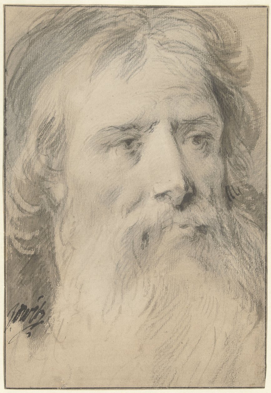 Cabeça de homem com barba grande de Jacob de Wit