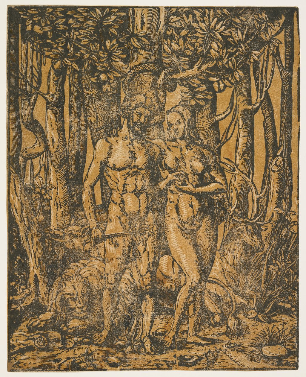 Adão e Eva, século XVI de Jacob the Elder attr. to Lucius