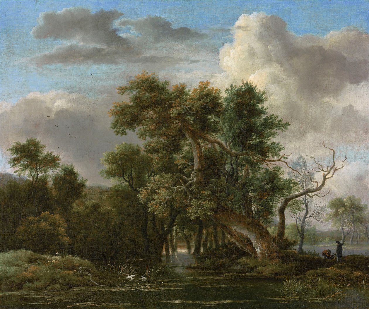 Uma piscina no bosque de Jacob van Ruisdael