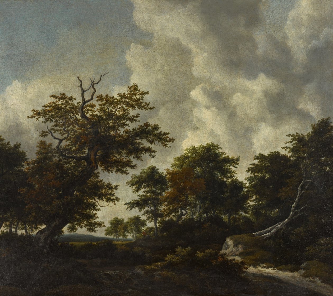 Paisagem de bosque com um grande carvalho e duas faias caídas junto a uma cascata de Jacob van Ruisdael